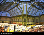 Exposition Nef Grand Palais ART en CAPITAL 2013