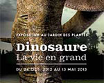 Paris Grande Galerie de l'évolution Dinosaure