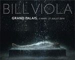 Grand Palais Paris Bill Viola