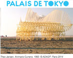 Expo Paris Palais de Tokyo Le Bord des Mondes