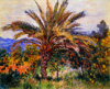 Monet Palmier à Bordighera