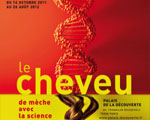 Exposition Paris Palais de la découverte Le cheveu de mèche avec la science