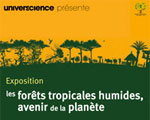 Exposition Paris Palais de la découverte Forêts tropicales humides