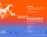 Exposition Paris Nef du Grand Palais Saut Hermes