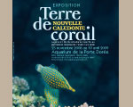 Expositions Paris Palais de la Porte Dorée Nouvelle-Calédonie Terre de corail