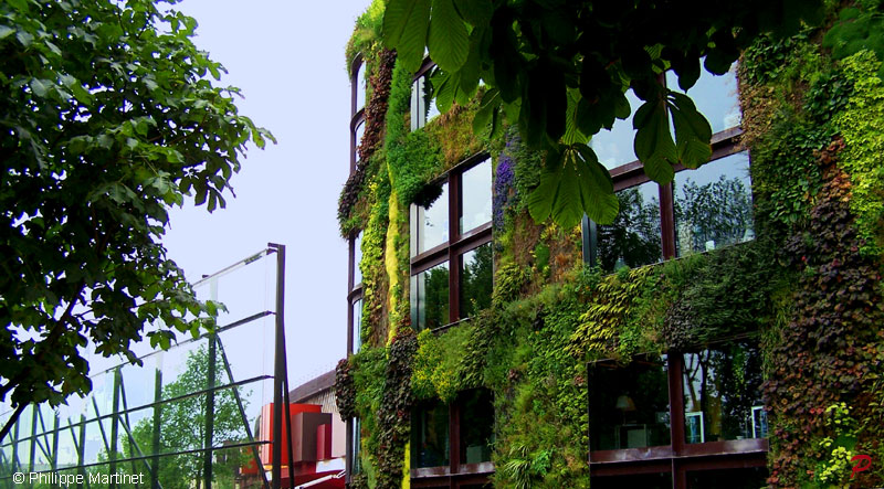Musée Quai Branly