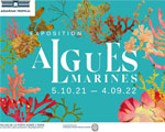 Expositions Paris Aquarium tropical Algues marines