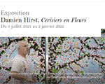 Expositions Paris Fondation Cartier Damien Hirst, Cerisiers en Fleurs