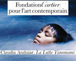 Expositions Paris Fondation Cartier Claudia Andujar, La Lutte Yanomami