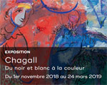 Expo Paris Musée Hôtel de Caumont Chagall Expo Paris Musée Hôtel de Caumont Chagall