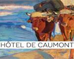 Expo Paris Musée Htel de Caumont Joaqun Sorolla, lumières espagnoles