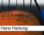 Expositions Paris Musée Art Moderne Hans Hartung La fabrique du geste