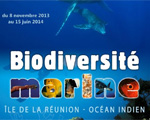Musée Porte Dorée Biodiversité marine de l'île de La Réunion