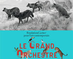 Expo Paris Fondation Cartier Le Grand Orchestre des Animaux
