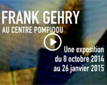 Expositions Paris Centre Pompidou Frank Gehry