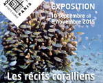 Expositions Paris Porte Dorée climat océan