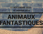 Expo le Louvre Lens Animaux fantastiques
