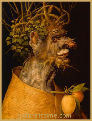 Arcimboldo l'Hiver 1563