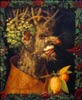 Arcimboldo Hiver