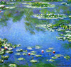 Monet Nymphéas Chicago