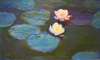 Monet Nymphéas County Museum of Art