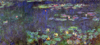 Monet nymphéas reflet vert partie droite