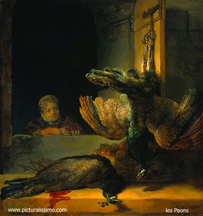 Copie Reproduction Rembrandt les Paons