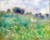 Renoir La prairie