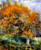 Renoir poirier
