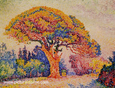 Paul Signac Le Pin Bertaud