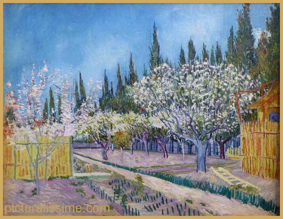 Copie Reproduction Van Gogh Verger en fleurs entour de cyprs