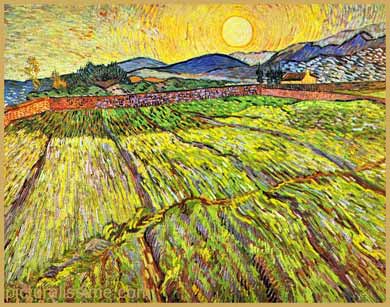 Van Gogh Champ de blé clturé au lever du soleil