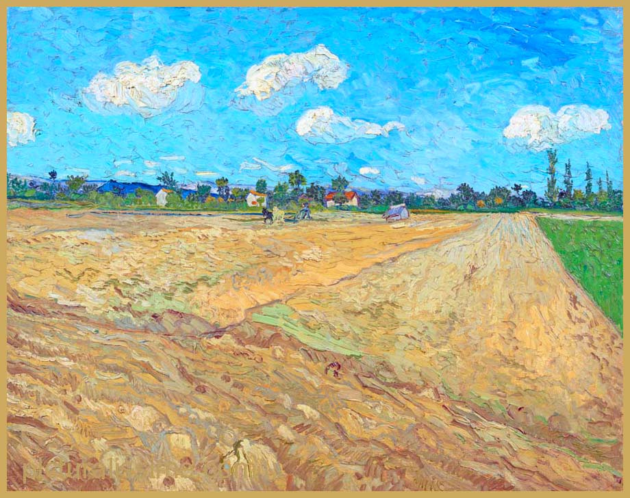 Copie Reproduction Van Gogh les Champs Labourés