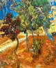 Van Gogh arbres jardin à Saint Paul