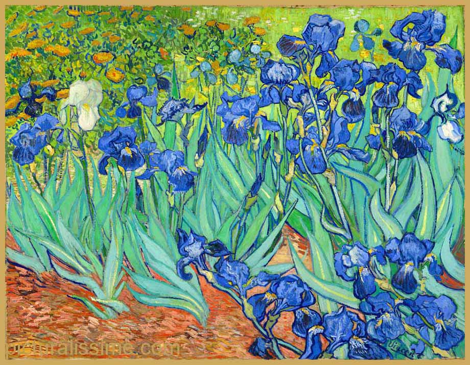 Copie Reproduction vincent Van Gogh les Iris