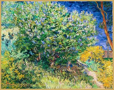 Van Gogh Les Lilas