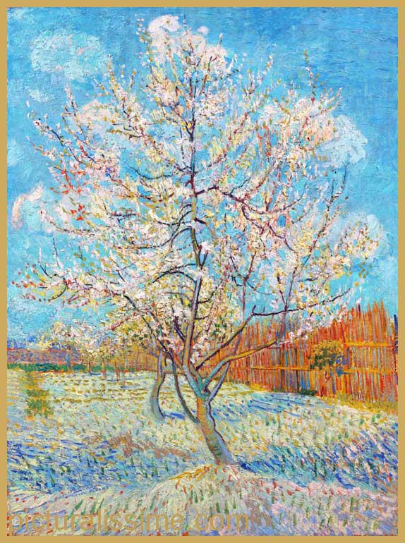 Copie Reproduction Van Gogh Pêcher en fleurs