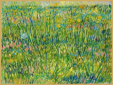 Van Gogh Prairie en fleurs